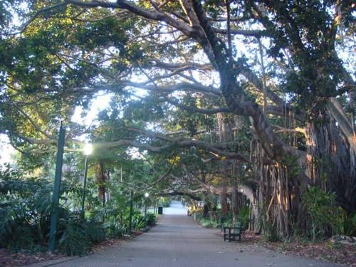 The Gardens Apartments Brisbane Extérieur photo